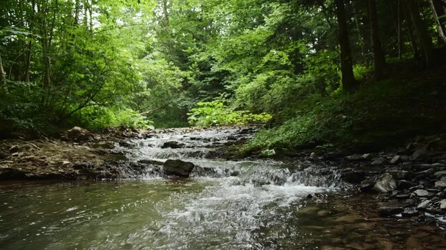 Beautiful mountain river with plants and tree logs at summer time. Nature conservation ecology ecosystems aquatic wildlife drinking water treatment pollution concept