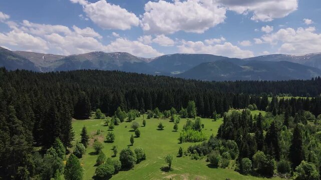 Footage of mountain villages and plateaus located among trees in pine forests.