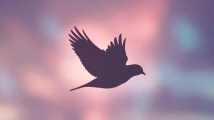 Obraz premium Bird silhouette gliding across soft pastel blurred sky