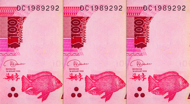 100 Malawi Kwacha Banknote featuring James Frederick Sangala. Money of Malawi and Africa.