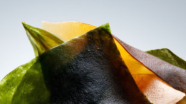 Dried organic nori, dulse and wakame seaweed sheet layered elegantly on light grey background. Perfect for culinary, nutraceutical, marine health and japanese superfood concepts.