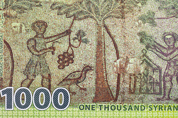 Naklejka premium 1000 Pounds of Syria with the image of a mosaic of grape harvest in the Roman ruins of As-Suwayda and olive branches. Money of Syria.