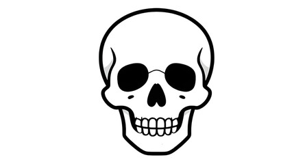 Obraz premium human skull illustration, skull anatomy illustration, skull bone illustration, skull structure illustration, skull head illustration, skull drawing illustration, skull sketch illustration, skull outli