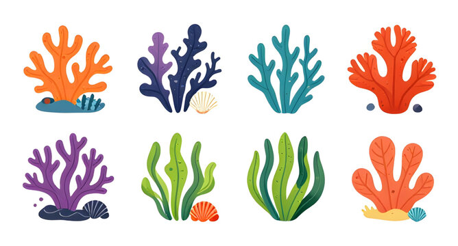 coral reef, ocean coral, marine reef, underwater scene, aquatic life, reef ecosystem, tropical reef, colorful coral, vibrant reef, sea plants, marine plants, ocean plants, seaweed algae, green algae, 