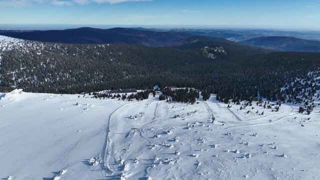 Skiing ski slope downhill Jeseniky tourist people local enjoying ice ski during winter natural ice form spruce tree Picea forest snow frost cold cool tundra biome frigid temperature aerial drone birds