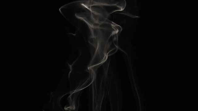 Minimalist abstract animation of four vertical white smoke lines flowing gracefully on black background with smooth motion and varying transparency