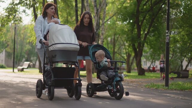 Two women guiding stroller and toddler tricycle along shaded park path, caring interaction and steady lifestyle routine, toddler turning head to explore, warm afternoon light, safe urban family