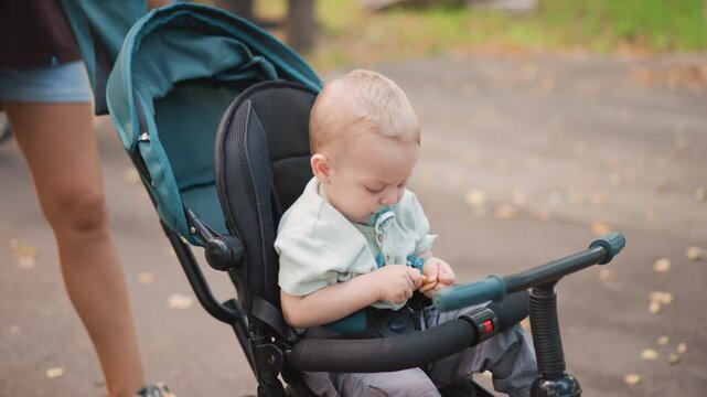 White baby exploring small found object in stroller on park path, focused hands picking at leaf or snack, pacifier present, autumn leaves underfoot, tender family lifestyle discovery scene