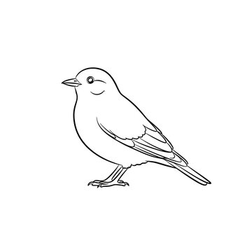 Bird illustration, black and white bird, simple bird drawing, line art bird, animal icon