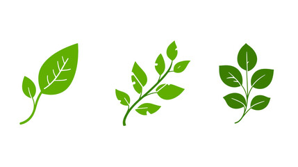 Fototapeta premium Three stylized, green leafy plant illustrations set against a plain white backdrop. Simple, clean, minimal