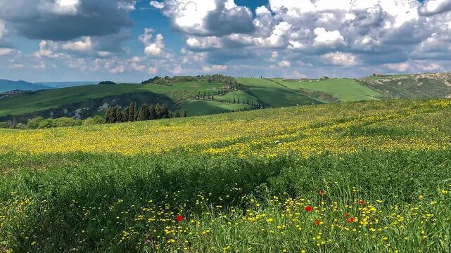 paesaggio toscano