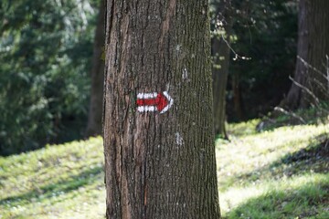 Znak namalowany na drzewie i kierujący podróżnika w prawo © Adam