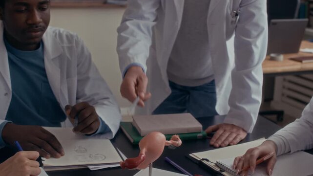 Tracking medium closeup shot of diverse medical students sitting at desk with anatomic model and listening to senior teacher during lesson in classroom with chalkboard