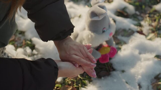 Hands placing plush bunny on snow, closeup of careful hands retrieving lost toy in sunlit winter grass, soft gray rabbit with pink feet, subtle frost and melted patches, gentle rescue gesture hinting
