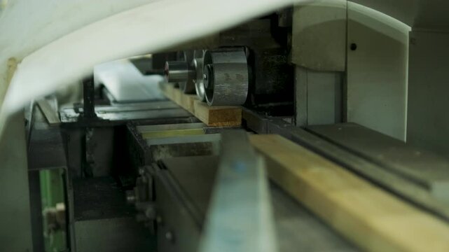A stream of small wooden pieces and offcuts moving along a conveyor belt, representing byproduct management in a large wood factory