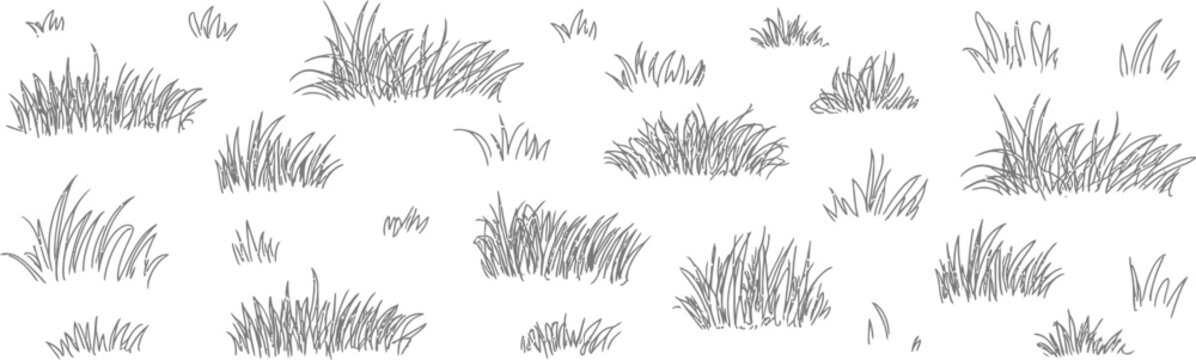 Grass sketch collection hand drawn doodle grass elements natural field plants illustration isolated on white background vector design set