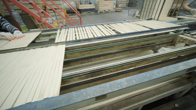 A stream of small wooden pieces and offcuts moving along a conveyor belt, representing byproduct management in a large wood factory