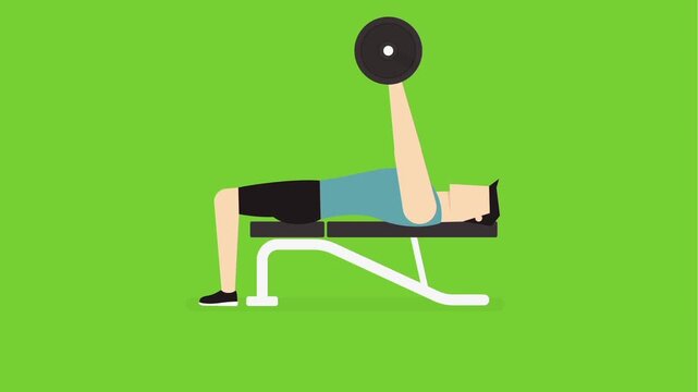 Man doing weightlifting bench press exercise animation, gym workout and fitness training concept with strength and bodybuilding theme