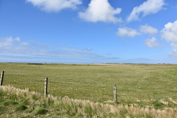 Stunning Rugged Landscape with Machair in a Field © dejavudesigns