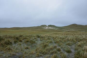 The Outer Hebrides with Grass Filled Fields © dejavudesigns