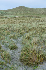 Hiking Path Through the Machair in the Outer Hebrides © dejavudesigns