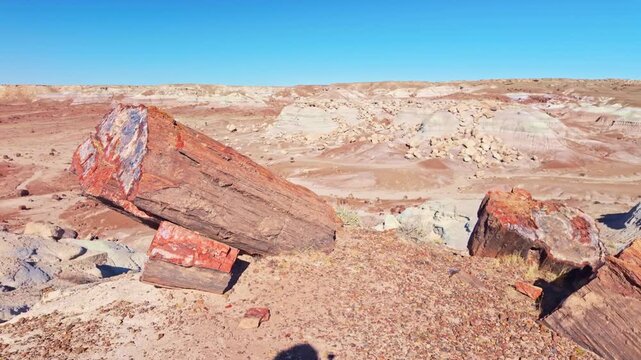 Petrified wood logs with vibrant colors lie across desert terrain at Jasper Forest Trail in Petrified Forest National Park Arizona