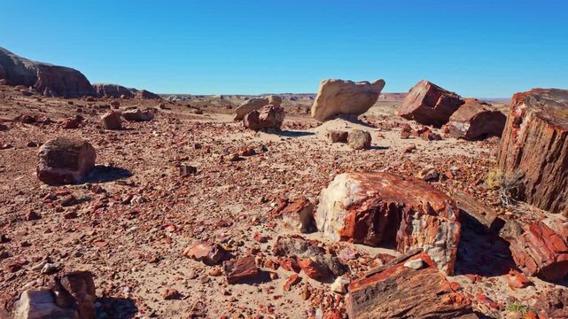 Petrified wood logs with vibrant colors lie across desert terrain at Jasper Forest Trail in Petrified Forest National Park Arizona