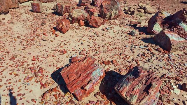 Detailed close view of vibrant petrified wood textures along Crystal Forest Trail in Petrified Forest National Park Arizona