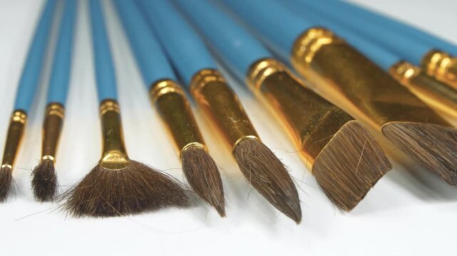 Collection of painting brushes with horse hair for creating detailed and expressive artworks