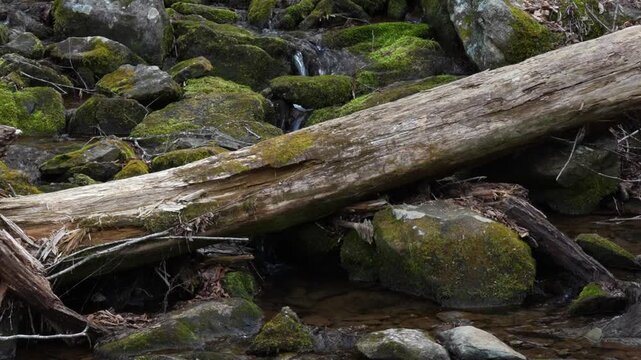 Water flows over moss-covered rocks near a fallen log