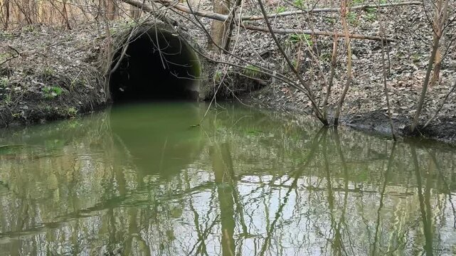 Large-diameter reinforced concrete pipe under forest dirt road for water drainage. Large reinforced concrete pipe installed under dirt road to prevent washout