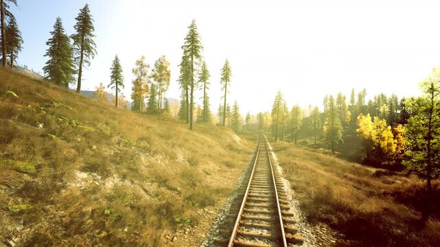 longline rails stretching through sunlit meadow and pine stands, morning vista with hazy background hills, wide perspective emphasizing depth and open