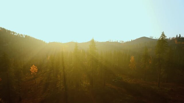 golden sunrise over serene pine valley, early morning rays cutting through mist, warm glow on autumn foliage, distant ridgeline, atmospheric haze, ranger