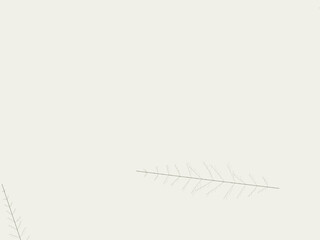 Fototapeta premium Leaf Vein Branch Pattern Natural Plant Design Wallpaper
