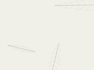 Fototapeta premium Organic Leaf Vein Network Botanical Nature Background