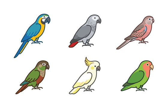A cute cartoon vector icon set of popular pet parrot species. Includes macaw, cockatoo, and lovebird illustrations for educational or design projects.
