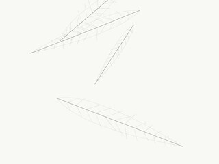 Obraz premium Leaf Vein Branch Pattern Natural Eco Design Backdrop