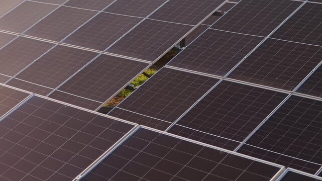 Aerial Panorama of Solar Energy Field with Rows of Photovoltaic Panels