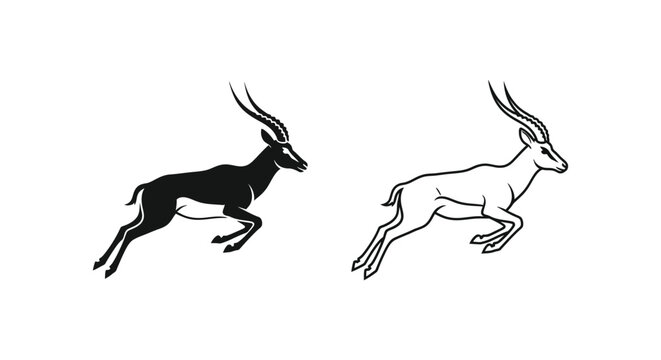 Antelope Species Comparison Guide Vector