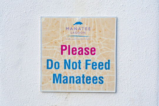 Conservation Call: "Please Do Not Feed Manatees" Warning Sign at Manatee Lagoon, Florida