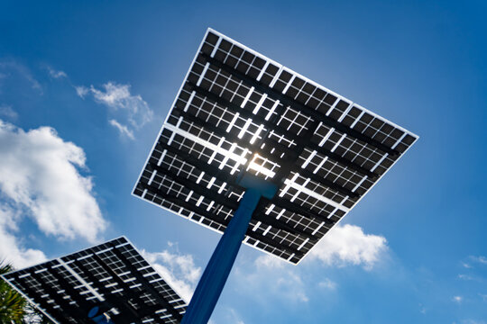 Future Power: FPL Solar Trees at Riviera Beach Marina Village Under the Florida Sun