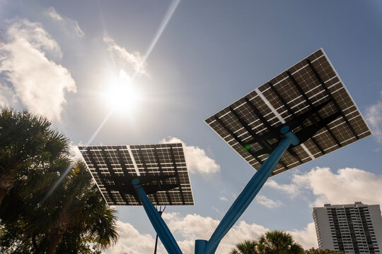 Future Power: FPL Solar Trees at Riviera Beach Marina Village Under the Florida Sun