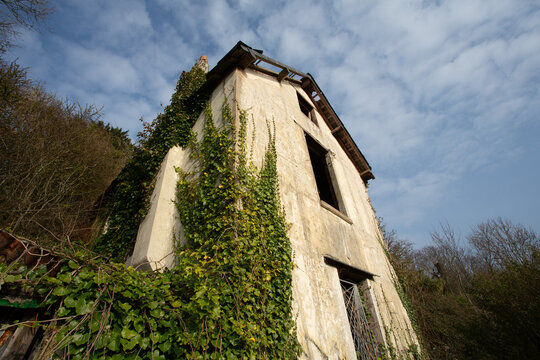 Maison abandonn&eacute;e et qui se couvre de lierre &agrave; la campagne 