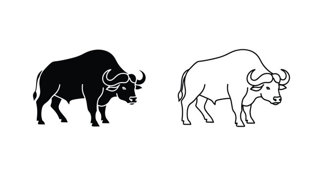 Water Buffalo Breeds Comparison Guide Vector