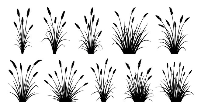 Set of black silhouettes of various cattail and grass plants on white background vector graphic