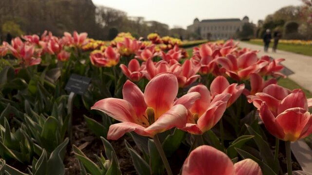 The Jardins des Plantes of Paris