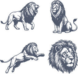 Fototapeta premium professional set of lion illustrations including roaring jumping and sitting poses in navy blue hand drawn style with no white fills