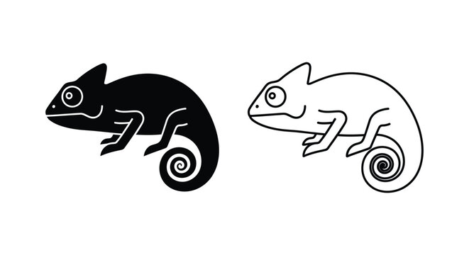 Chameleon Illustration Designs Unique Artwork Vector