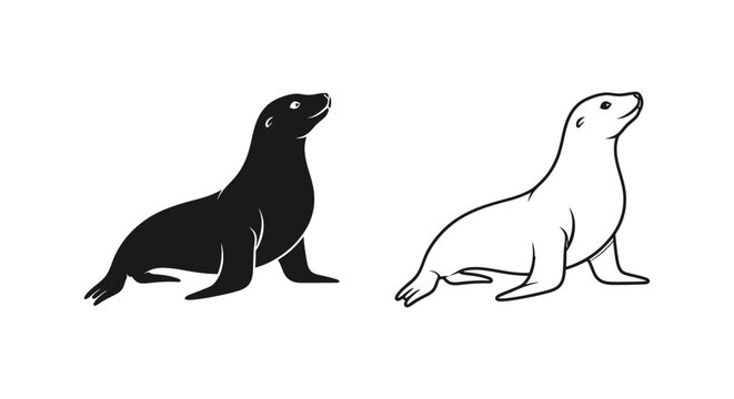 Sea Lion vs Sealion Comparison Guide Vector