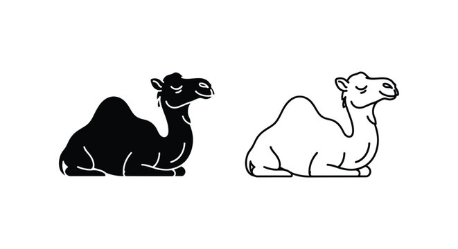 Camel Types Illustrated Bactrian vs Dromedary Vector